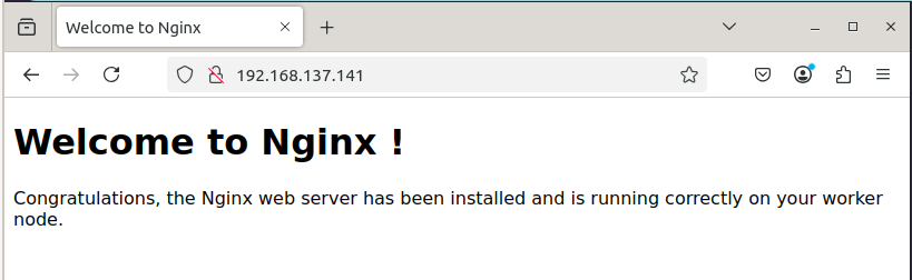 Nginx Web Server